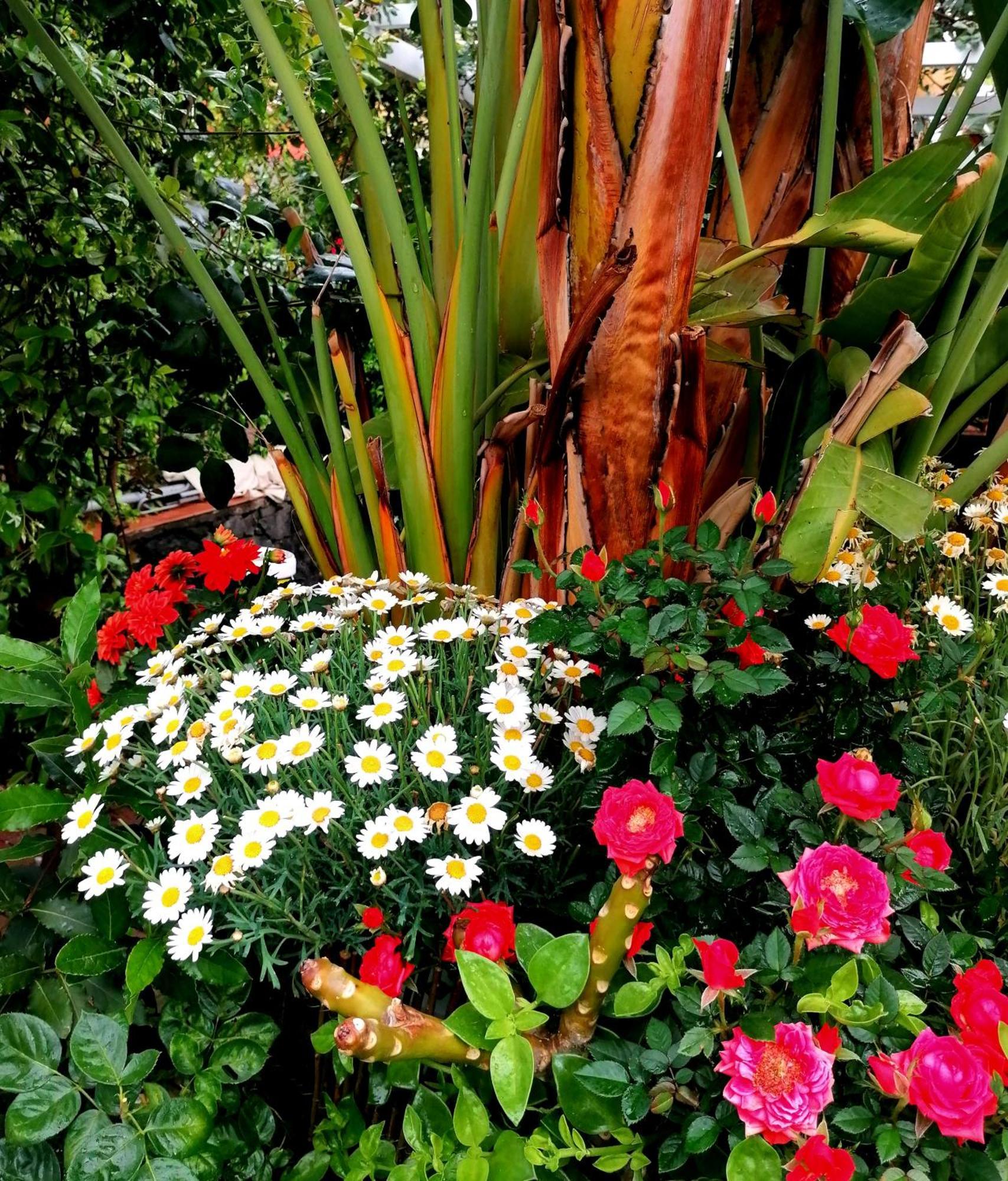 La Foresteria Garden Boutique B&B CTA Exterior photo